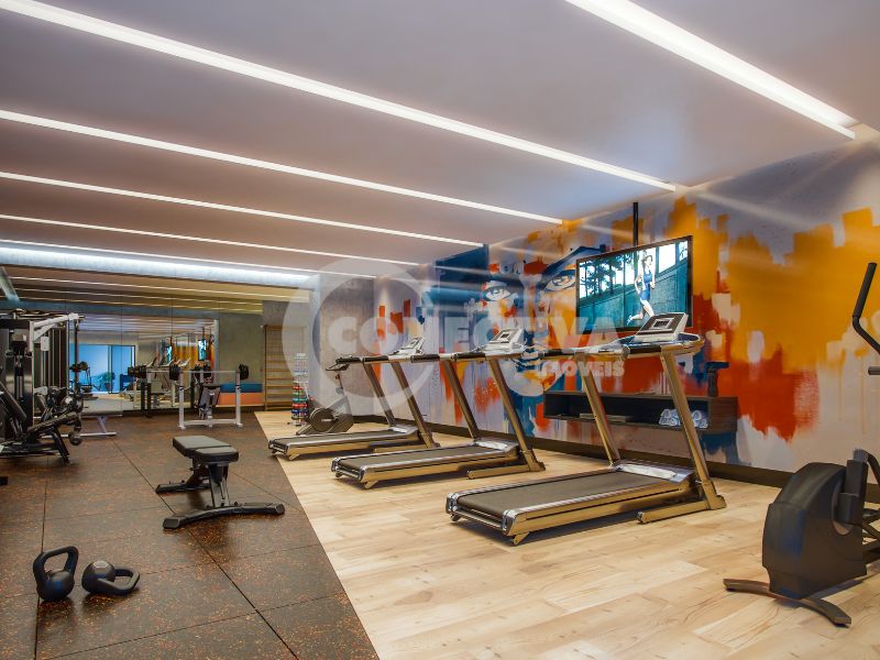 Interior 1